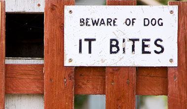 Beware of Dog sign on fence.