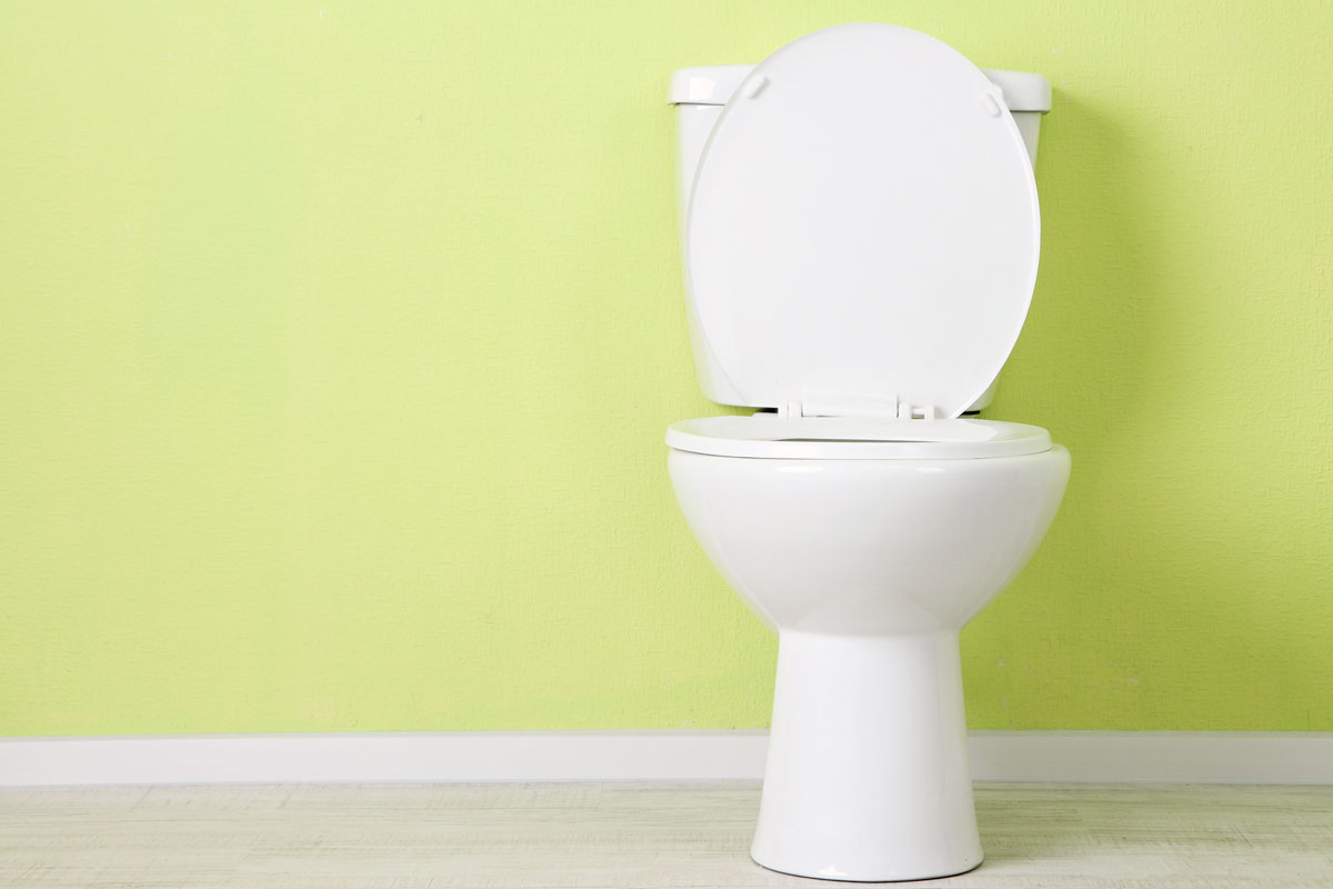 toilet and lime green wall behind