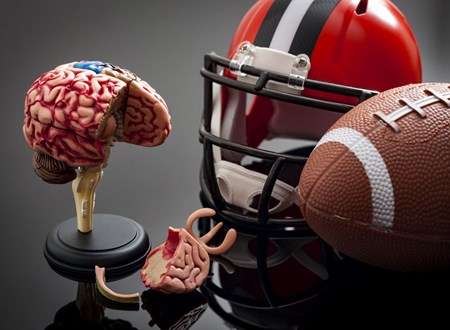 Concussions are common in high-impact sports like football and boxing, which has spurred researchers to take a closer look at the connection between repetitive head trauma and degenerative brain disease.