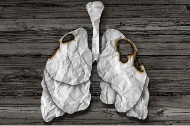 model of damaged lung