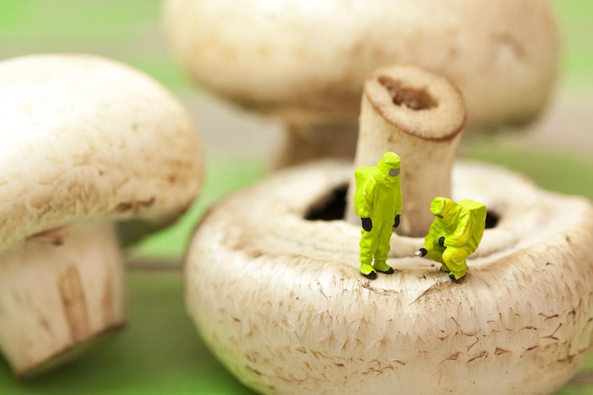 miniature men in hazmat suits examining a mushroom