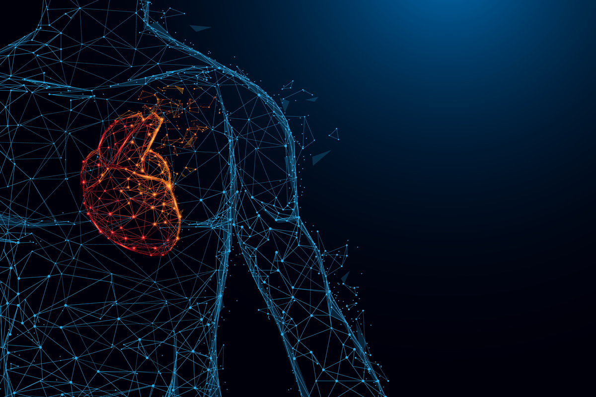 Human heart anatomy form lines and triangles, point connecting network on blue background.