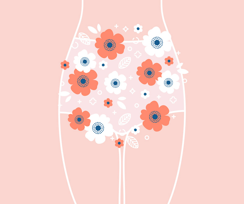 an illustration of a female wearing high-cut briefs with flowers surrounding the pubic area