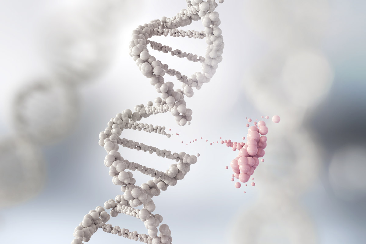 a white strand of DNA with part of the helix removed and highlighted in pink