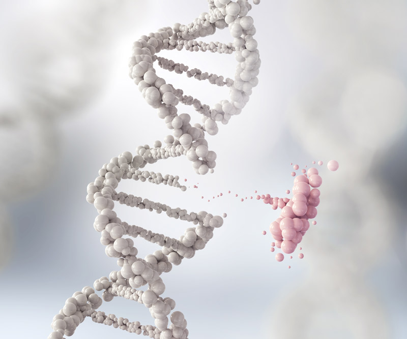 a white strand of DNA with part of the helix removed and highlighted in pink