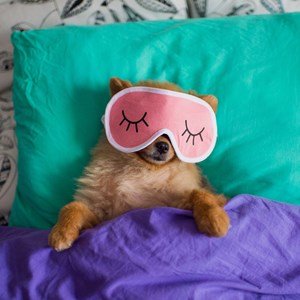 urns out there's a bunch benefits behind napping, including improved mood, enhanced energy and restored focus!