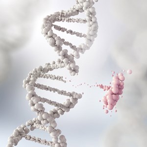 Medical Oncologist Dr. Jami Fukui from the Hawaii Pacific Health Cancer Centers gives us a closer look at the role genetics plays in developing breast cancer, plus how to take control and reduce your risk.