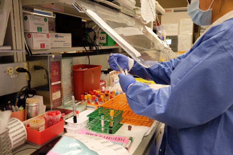 Worker in medical lab conducting test