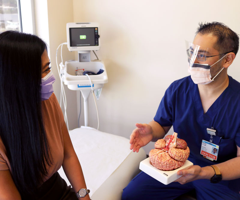 A male doctor holds a model of a brain and talks with a female patient as they sit in an exam room.