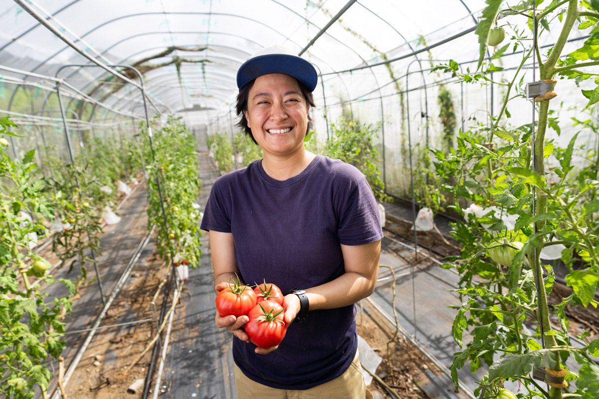 A woman stands in a greenhouse and holds a bunch of red tomatoes on the vine