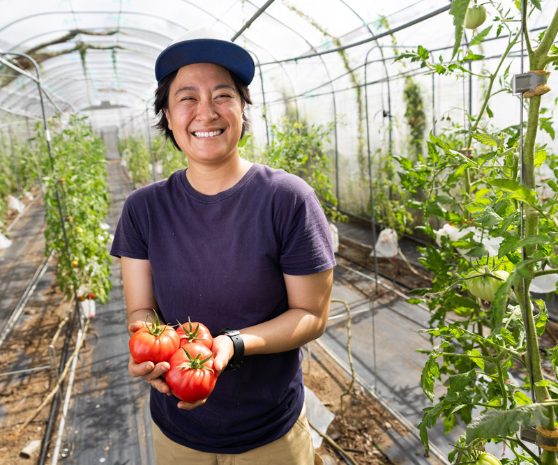 A woman stands in a greenhouse and holds a bunch of red tomatoes on the vine