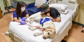 kapiolani patient experience canine