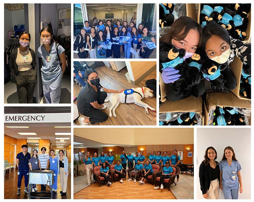 Large collage of pictures showing participants in the Health Careers Summer Internship Program.