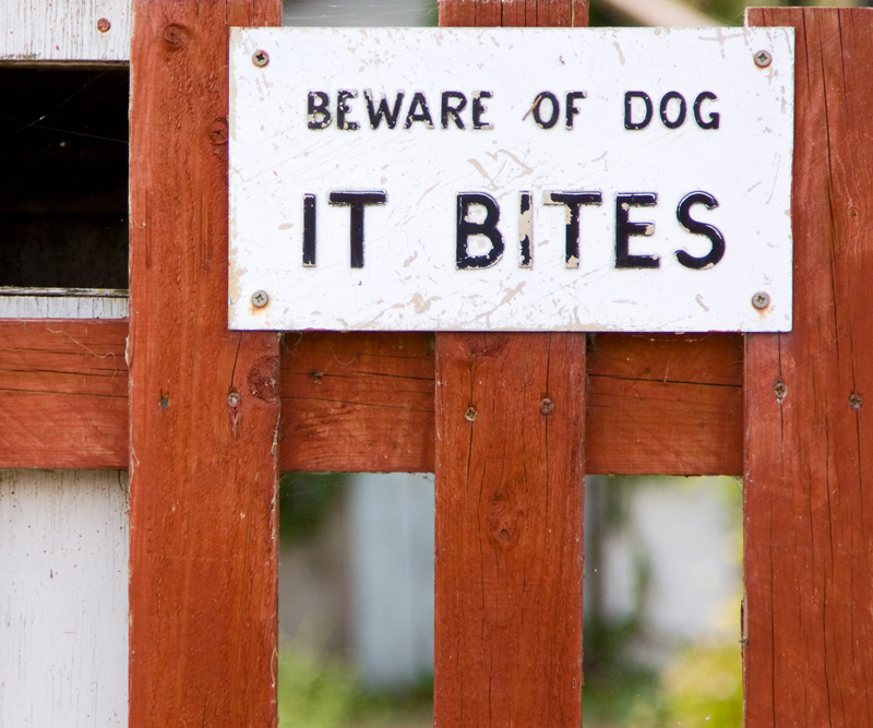 a wooden gate with a sign that says "Beware of Dog It Bites" nailed to it