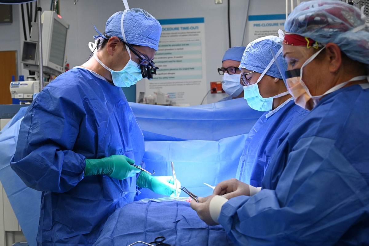 a medical team performs heart surgery