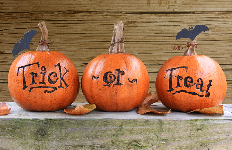 Halloween carved pumpkins