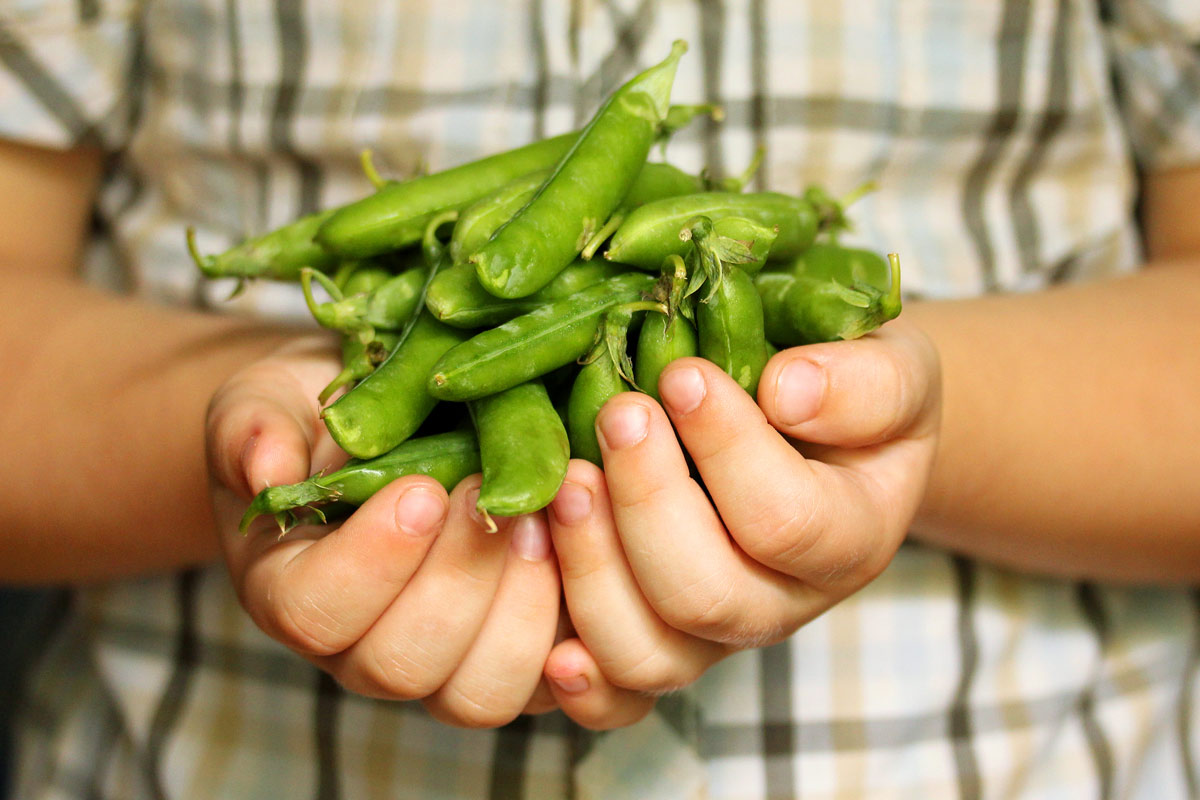 Man holding green vegetables