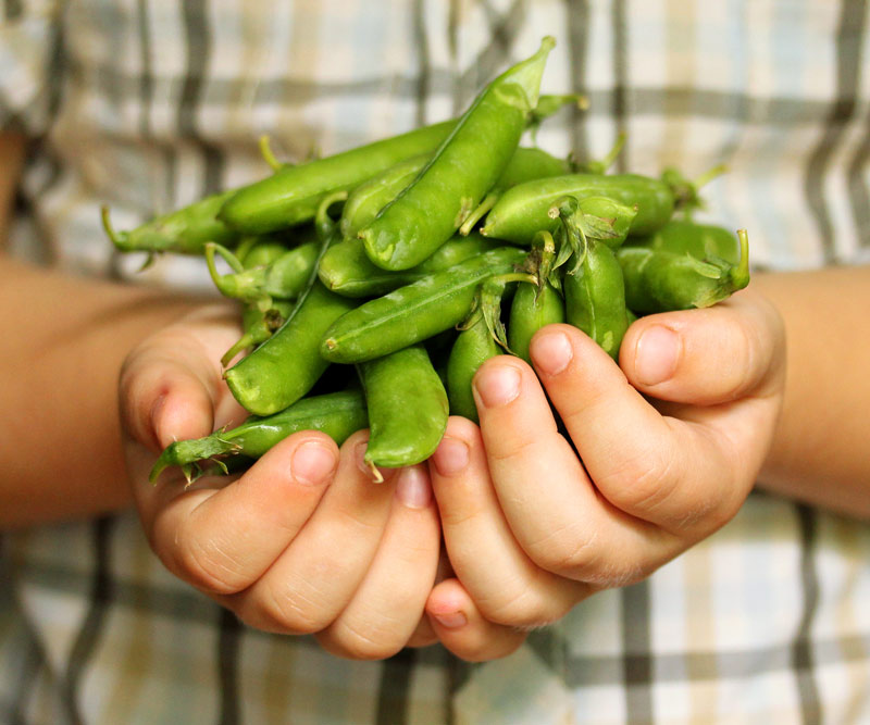 Man holding green vegetables