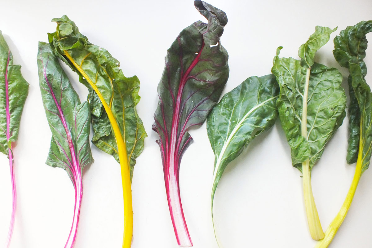 Colorful rainbow chard laid out on a white counter top