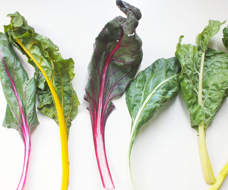 Colorful rainbow chard laid out on a white counter top