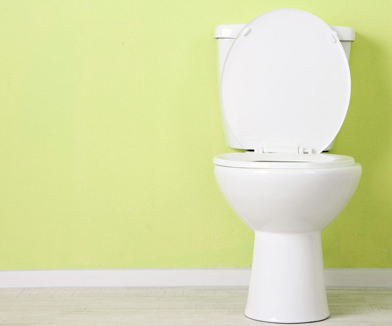 toilet and lime green wall behind