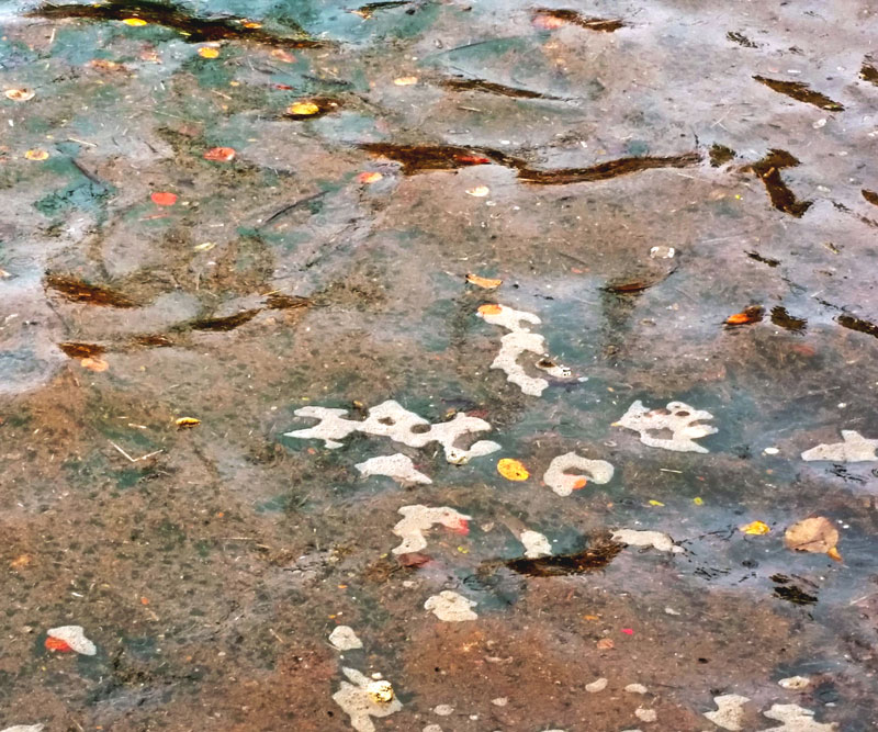 flowing brown water