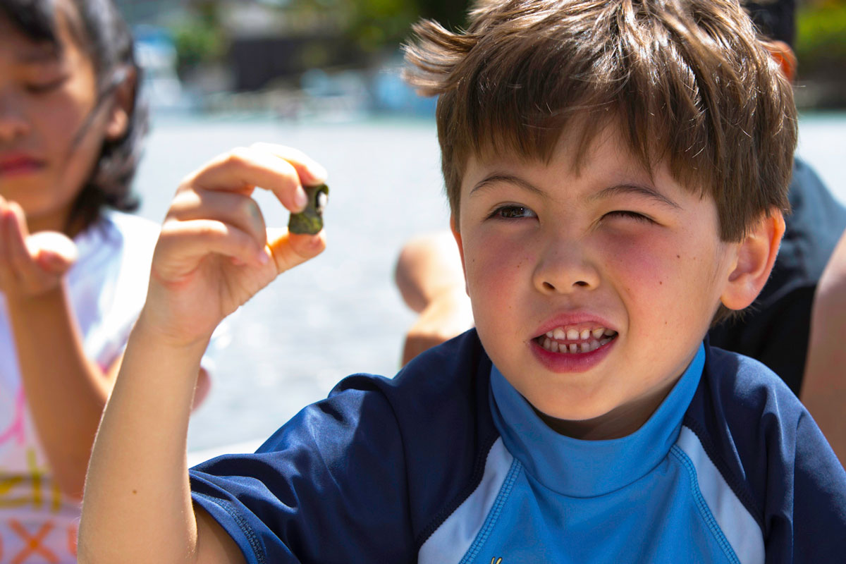 young boy looking closely at a toy