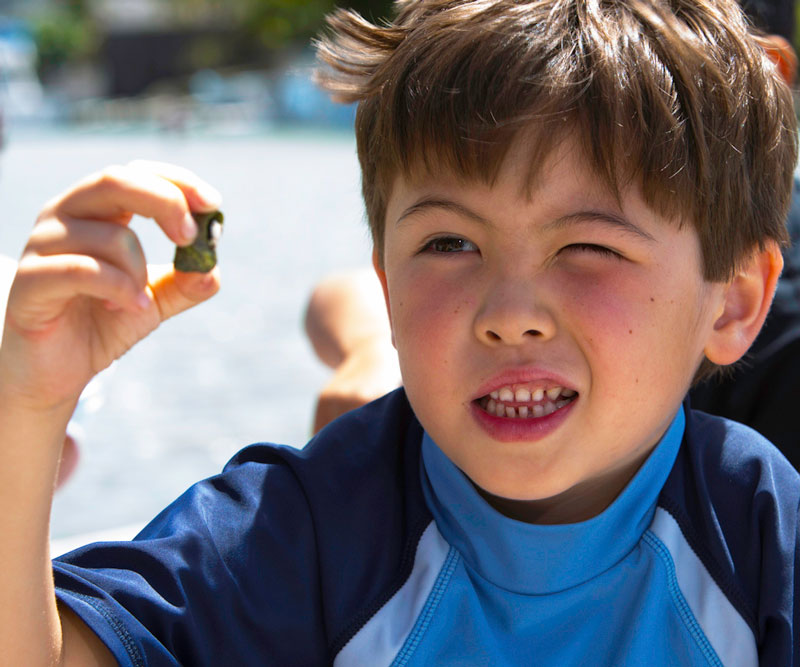 young boy looking closely at a toy