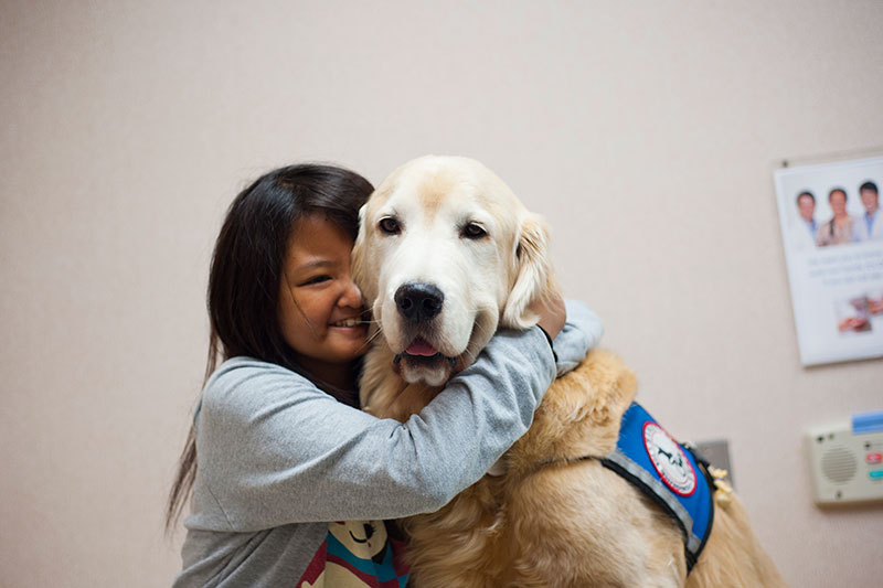 a dog getting a hug