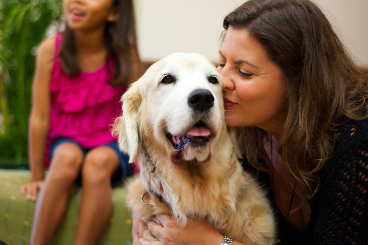 Tucker the golden retriever