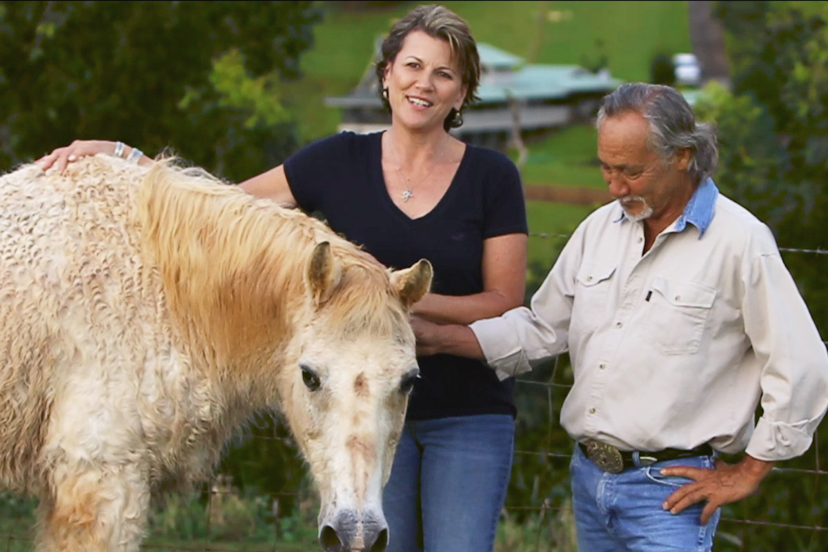 Couple petting their horse