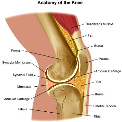 partial-knee-replacement-image