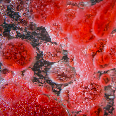 Magnified blood cell
