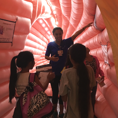 Group of children getting educated about the structure of the heart