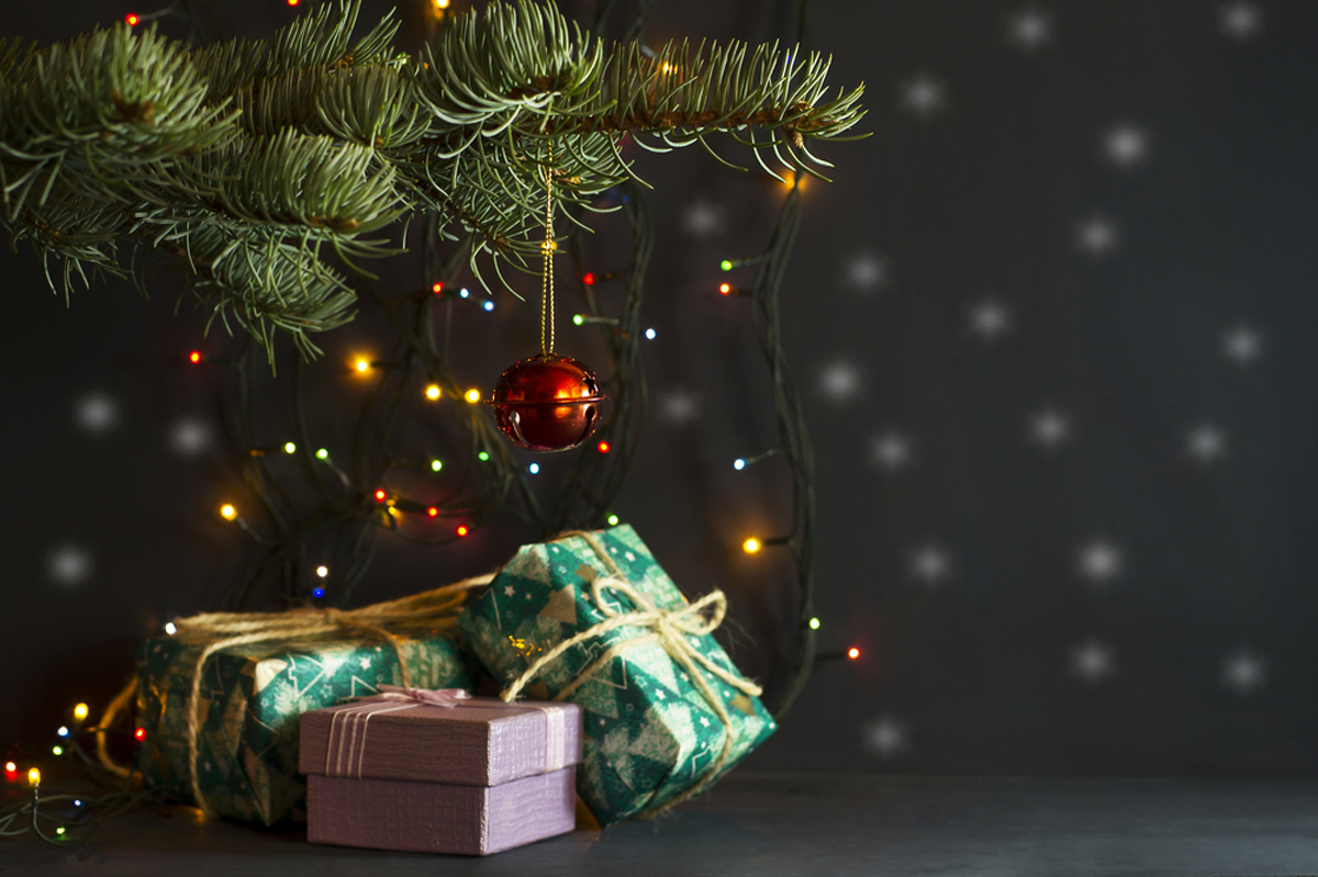 Presents underneath a decorated Christmas tree.