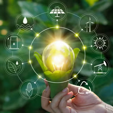 Ring of icons for energy sustainability including solar, wind, natural gas, recycling, and plants surround a stylized lightbulb that appears to grow from a plant.